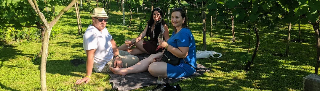 Derflanské otevřené sklepy, u pikniku