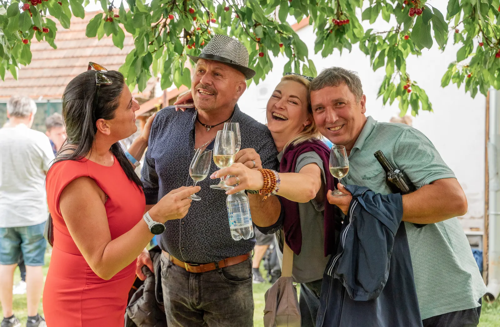 Derfla open cellars, a toast