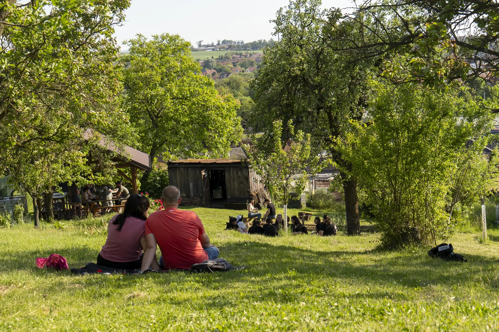 Derfla open cellars, at the picnic