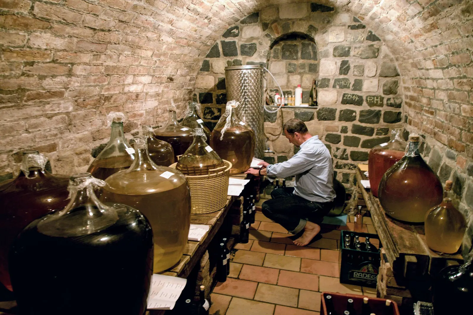 Derfla open cellars, at the barrels