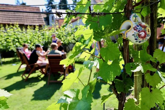 Derfla open cellars, at the picnic