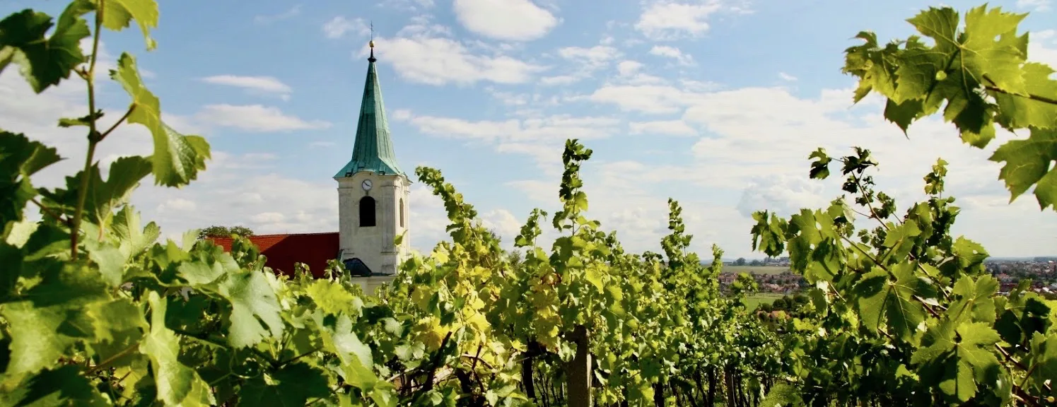 Derflanské otevřené sklepy, u kostela