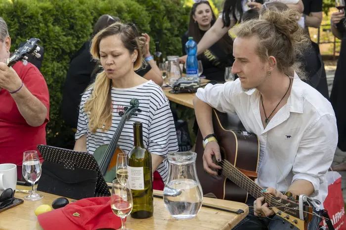 Open cellars in Sady with live music