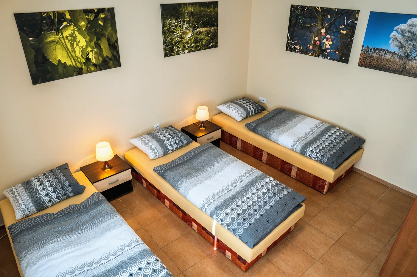 Vinařství Medek, v apartmánu
