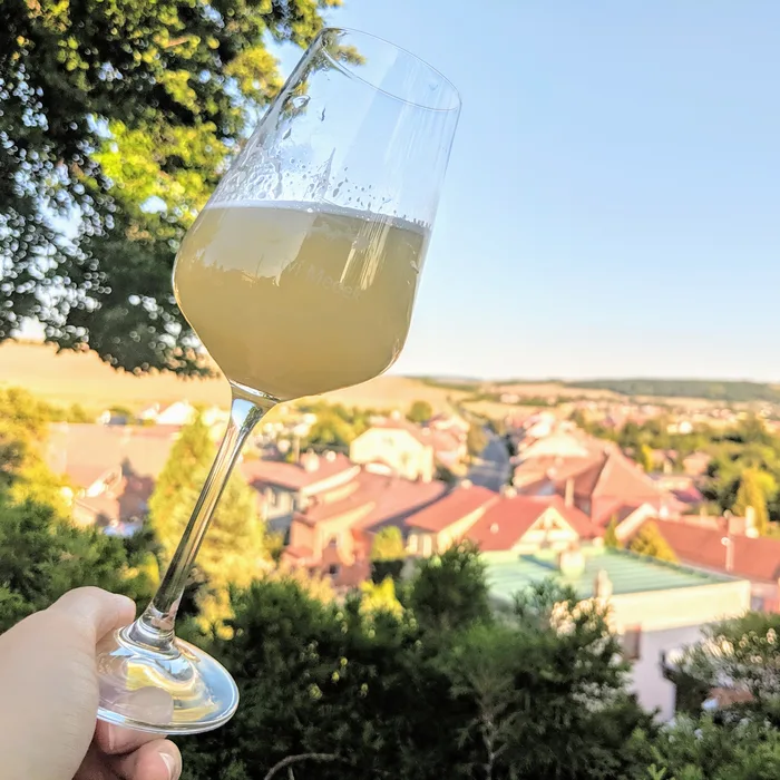Vinařství Medek, s výhledem