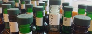 Degustace 2018