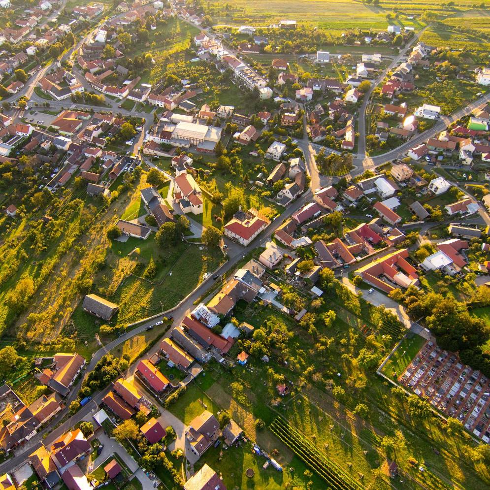 borsice